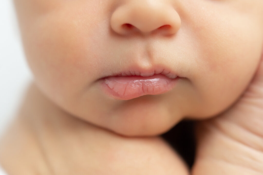 photographe bebe naissance toulon