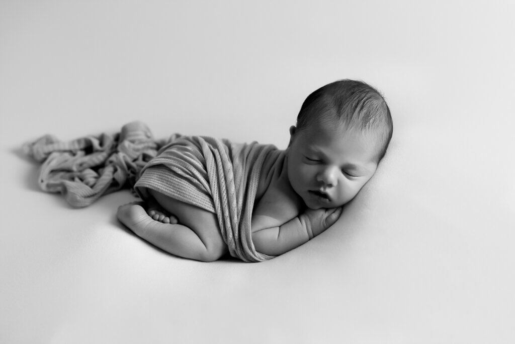 PHOTO NOUVEAU NÉ TOULON