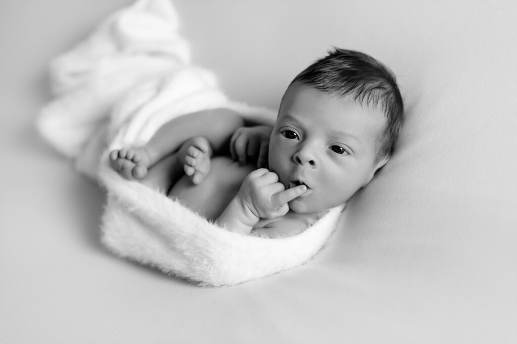 séance photo bébé sollies